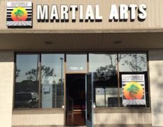 United Studios of Self Defense Huntington Beach